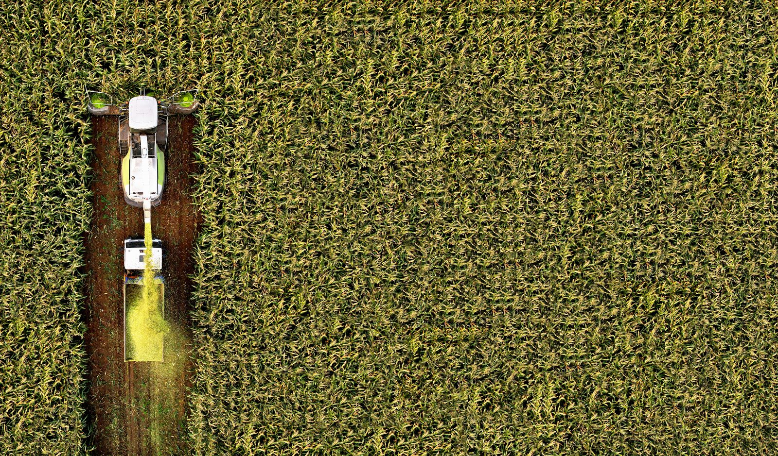 Farm state House members say USTR proposal offers big risks to US ag interests