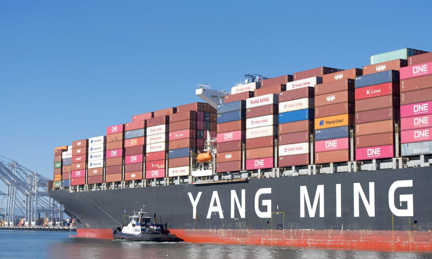 MSC, Yang Ming lead nearly $4 billion ordering spree for new vessels