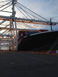 NYK Arcadia at Global Terminal