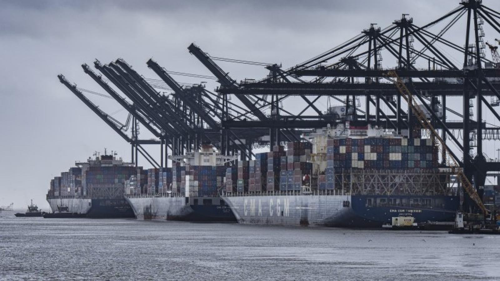 Export rebound, manufacturing imports keeping Gulf Coast volumes afloat