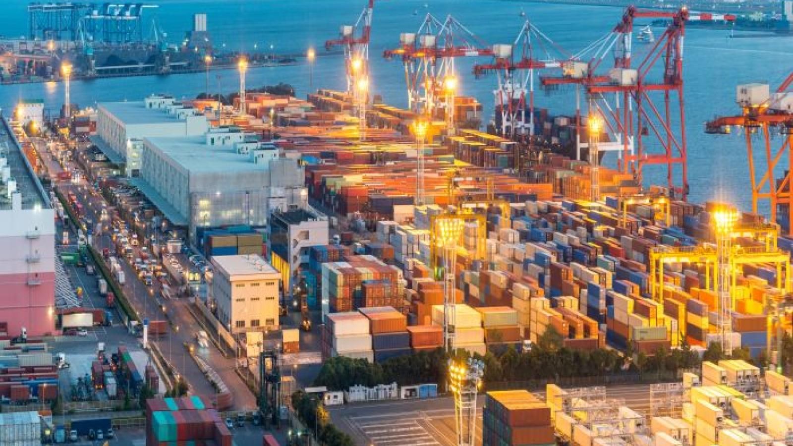 Vận chuyển hàng đường biển từ Việt Nam đi cảng Tokyo, Nhật Bản