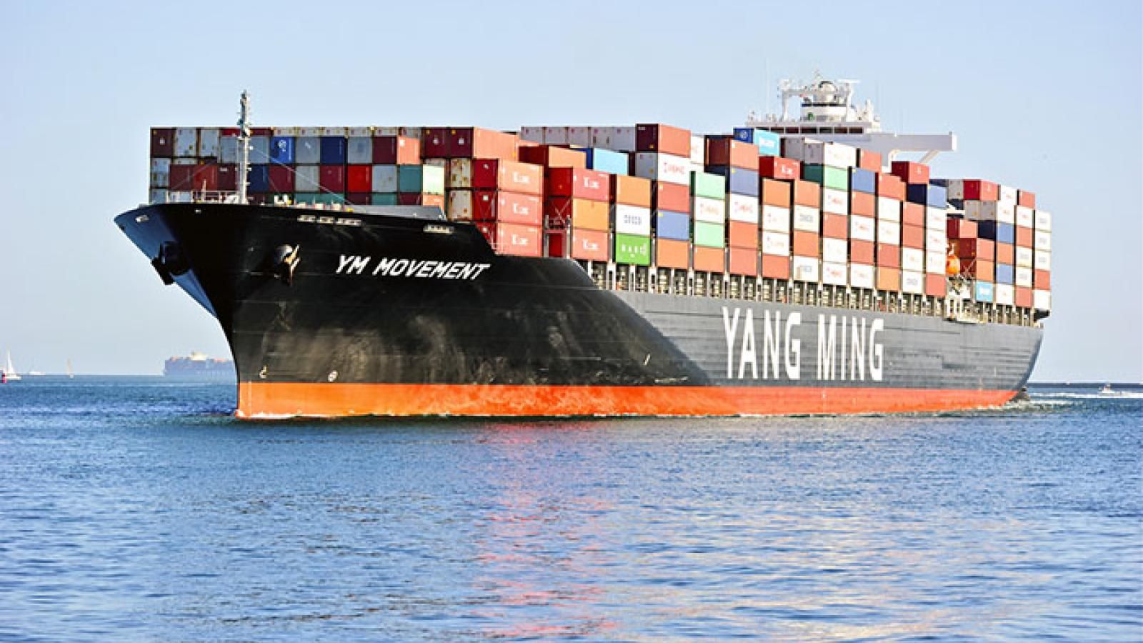 Yang Ming loses $124 million but expects better second half | Journal of  Commerce