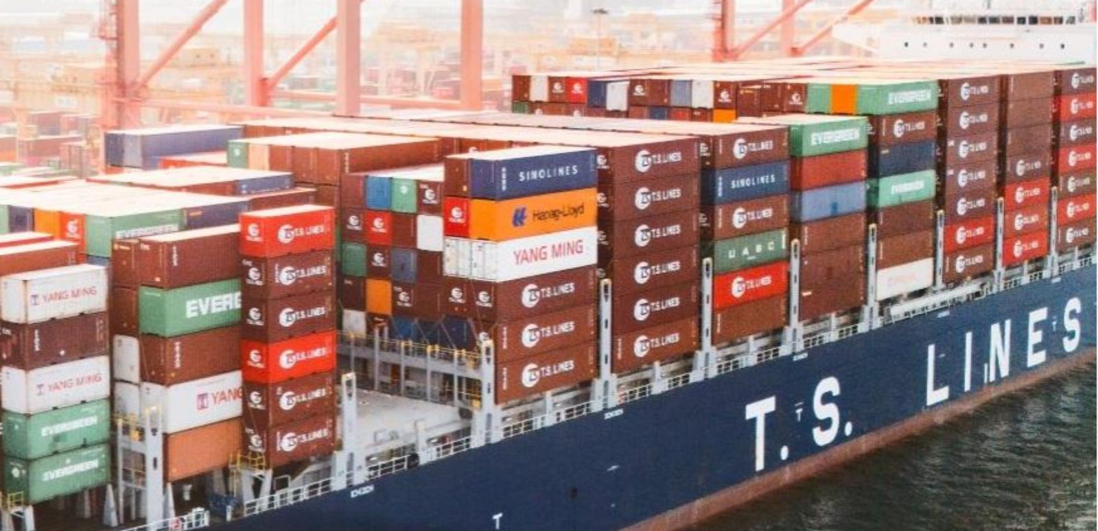 June expected to be peak for niche carriers in the trans-Pacific: analyst