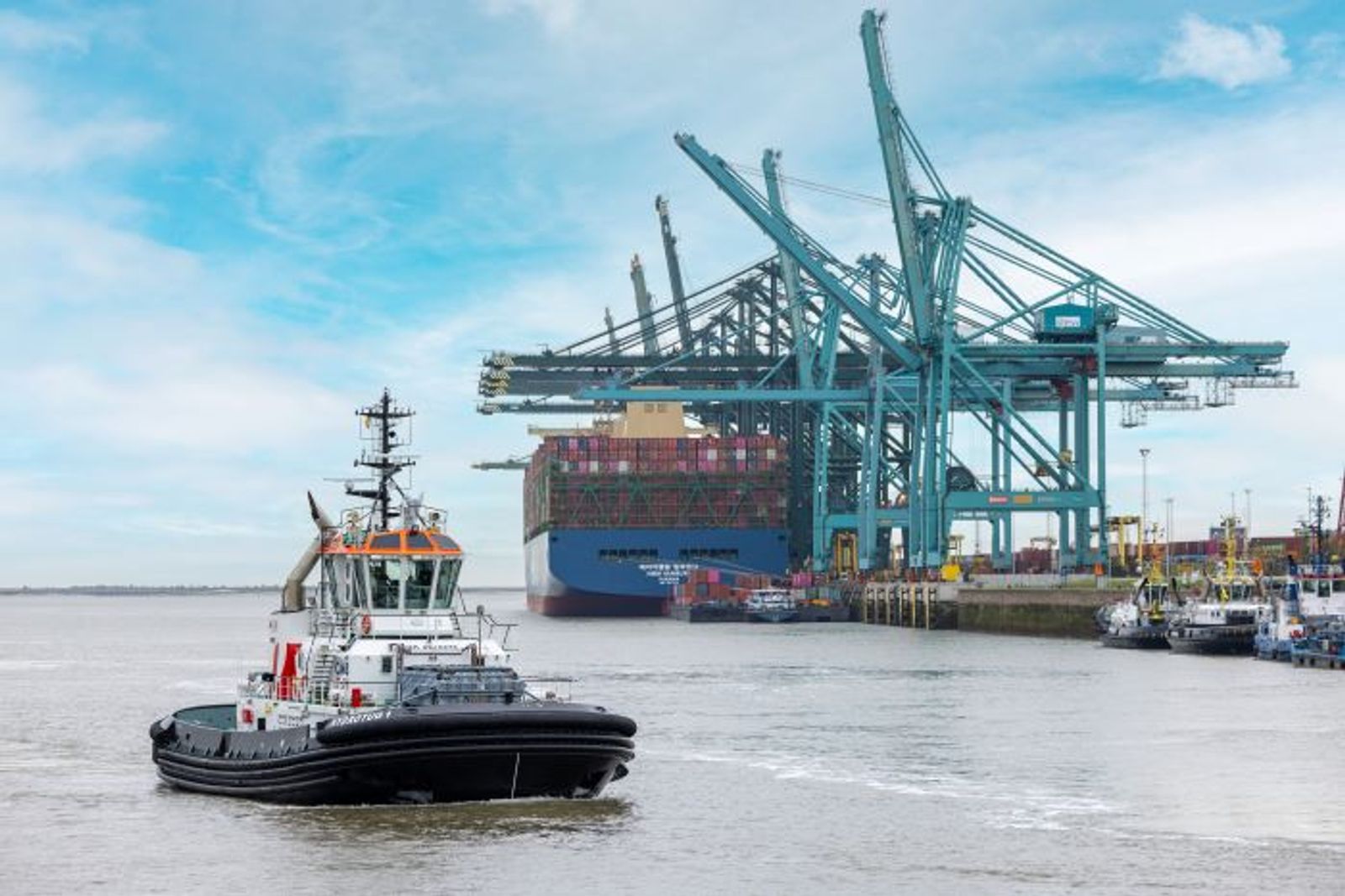Strong H1 volumes, space crunch keep Antwerp terminals under pressure