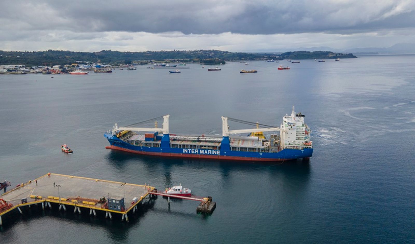 Tight MPV supply countered by container rate crash, ship glut