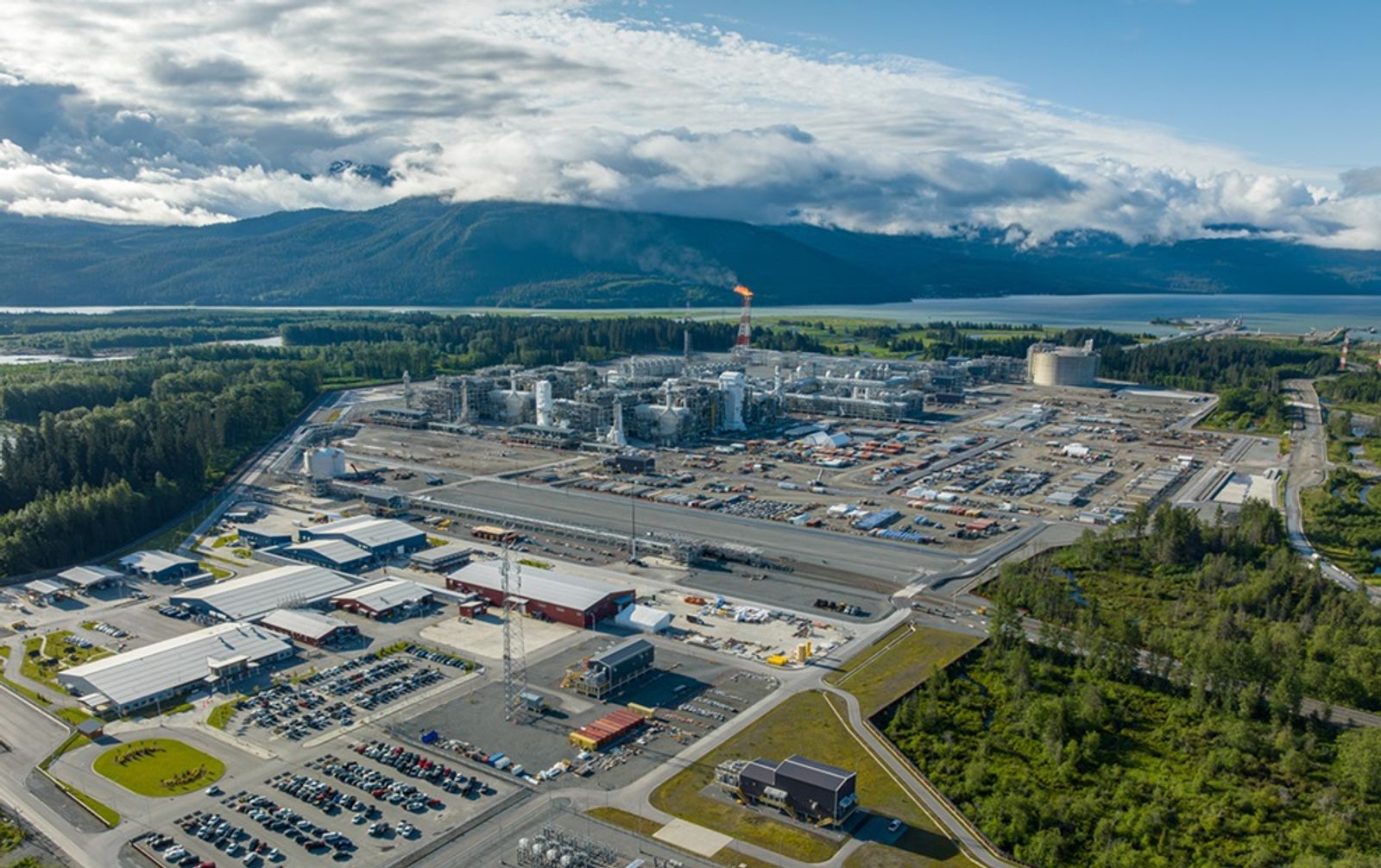 EPCs emboldened by investments in energy, tech and defense projects