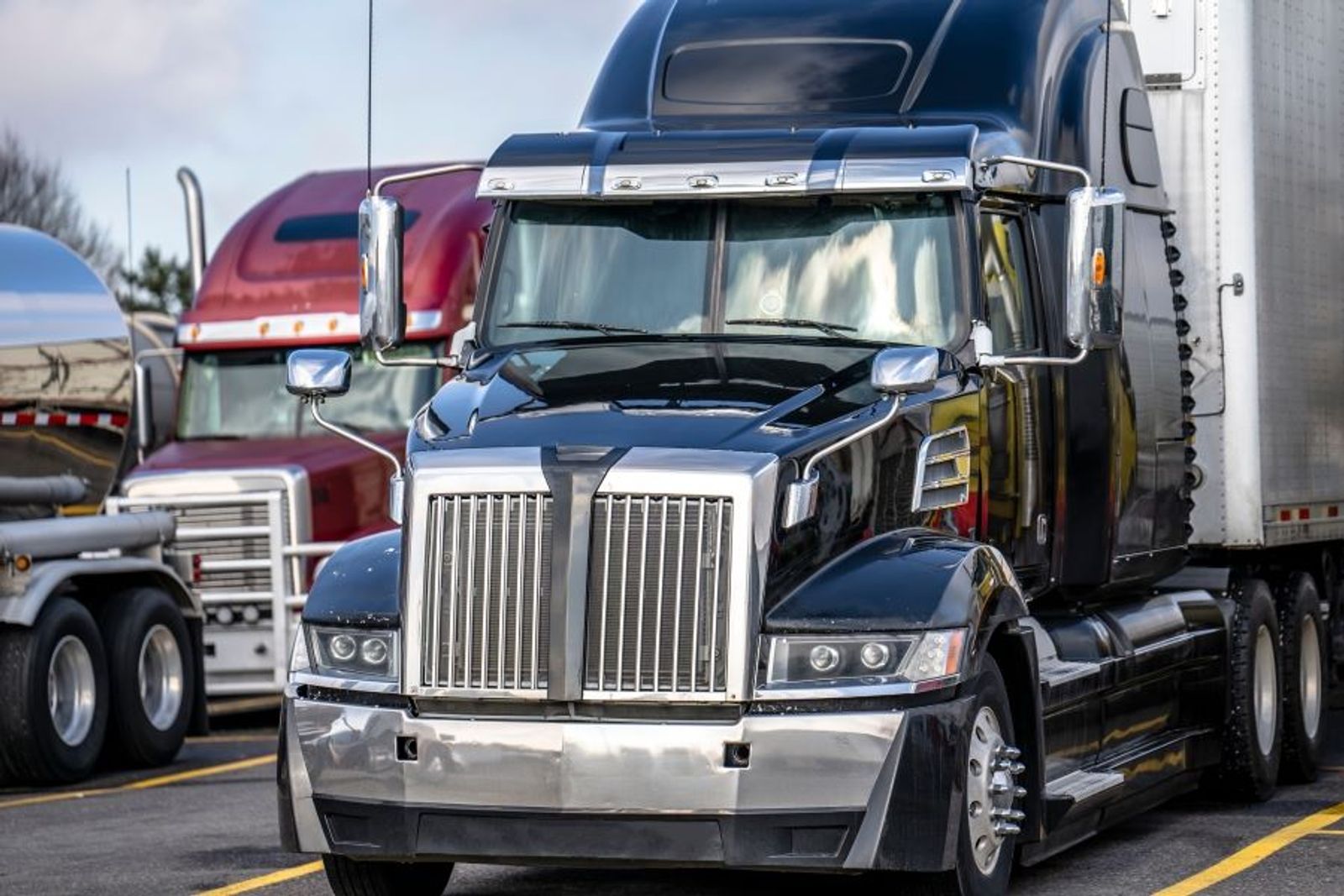 Industry group calls for tougher licensing, better training amid trucker crackdown