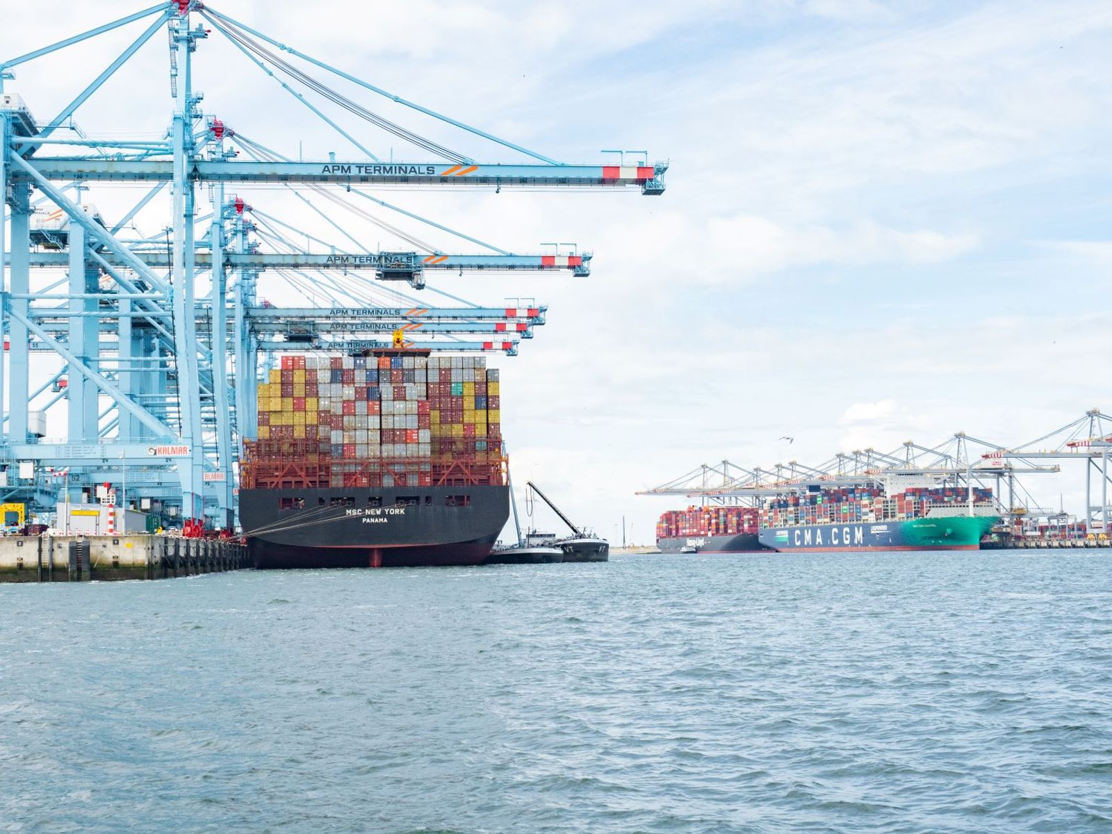 AI primed to offer ocean carriers many and varied ways to cut expenses