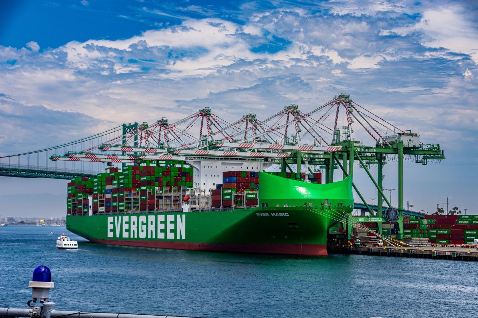 Evergreen’s 2025 profits nearly halved on sharp freight rate declines 