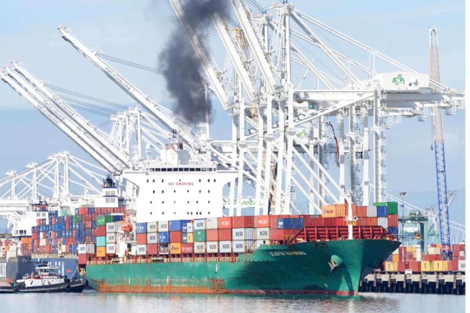 FMC’s DiBella brings anti-’net-zero’ message to IMO London meeting