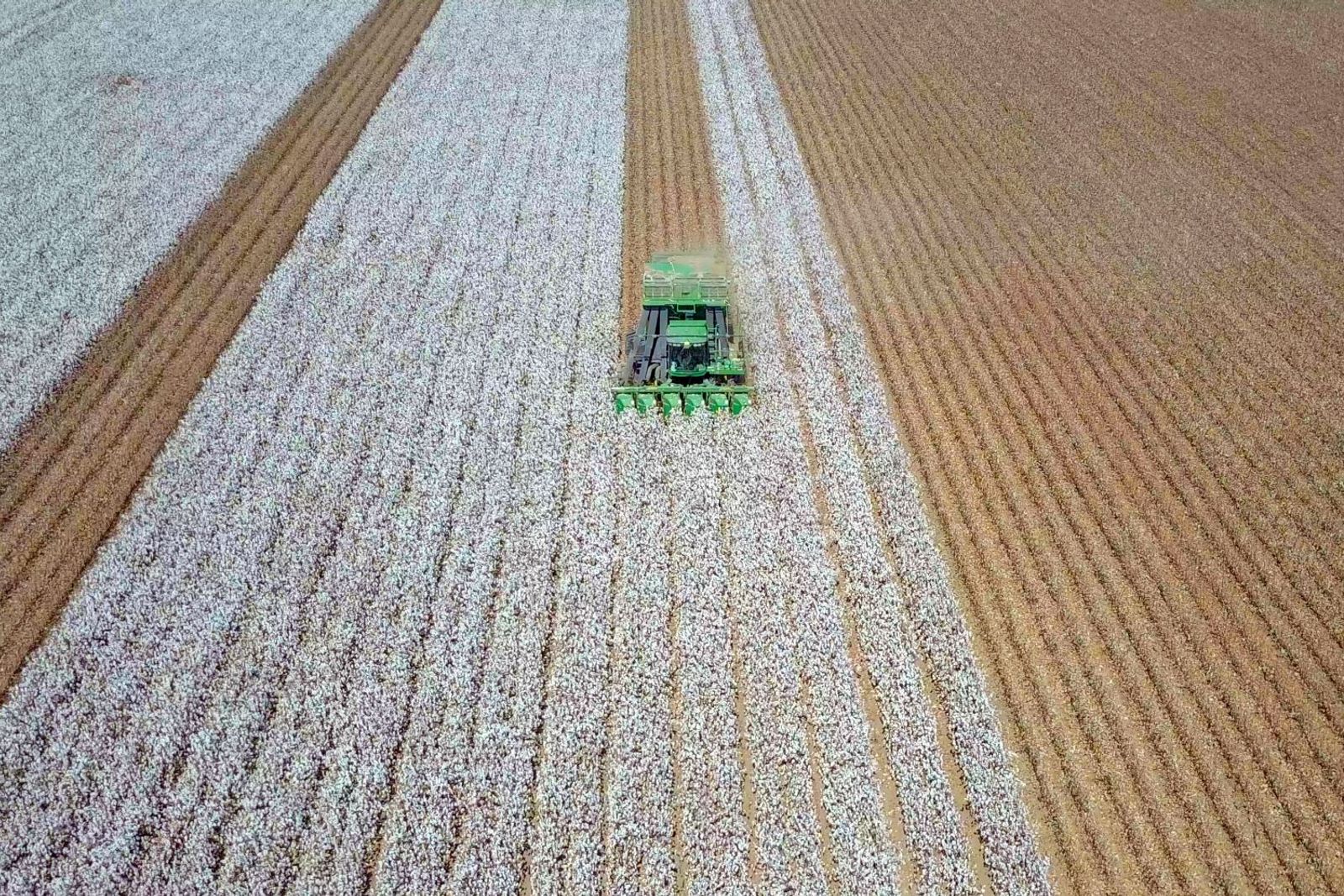 Middle East fuel shock exacerbates rising US ag export costs