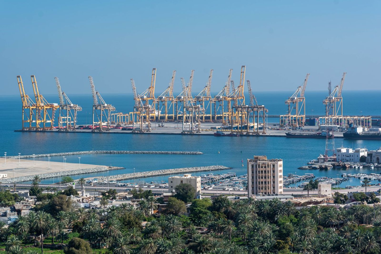 Hapag-Lloyd, MSC to use feeders to restore upper Persian Gulf cargo links