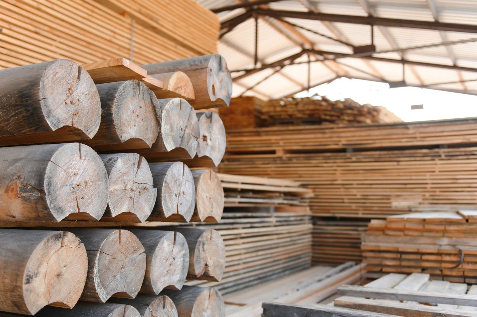 Structural demand shifts pulverizing US forest exports