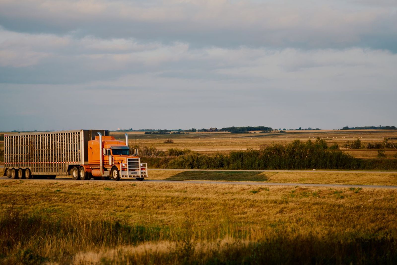 Canada's ‘Driver Inc.’ model faces renewed scrutiny as Ottawa expands enforcement