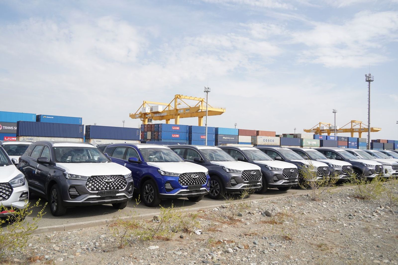 Ro/ro carriers face mixed fortunes as Chinese automakers move overseas