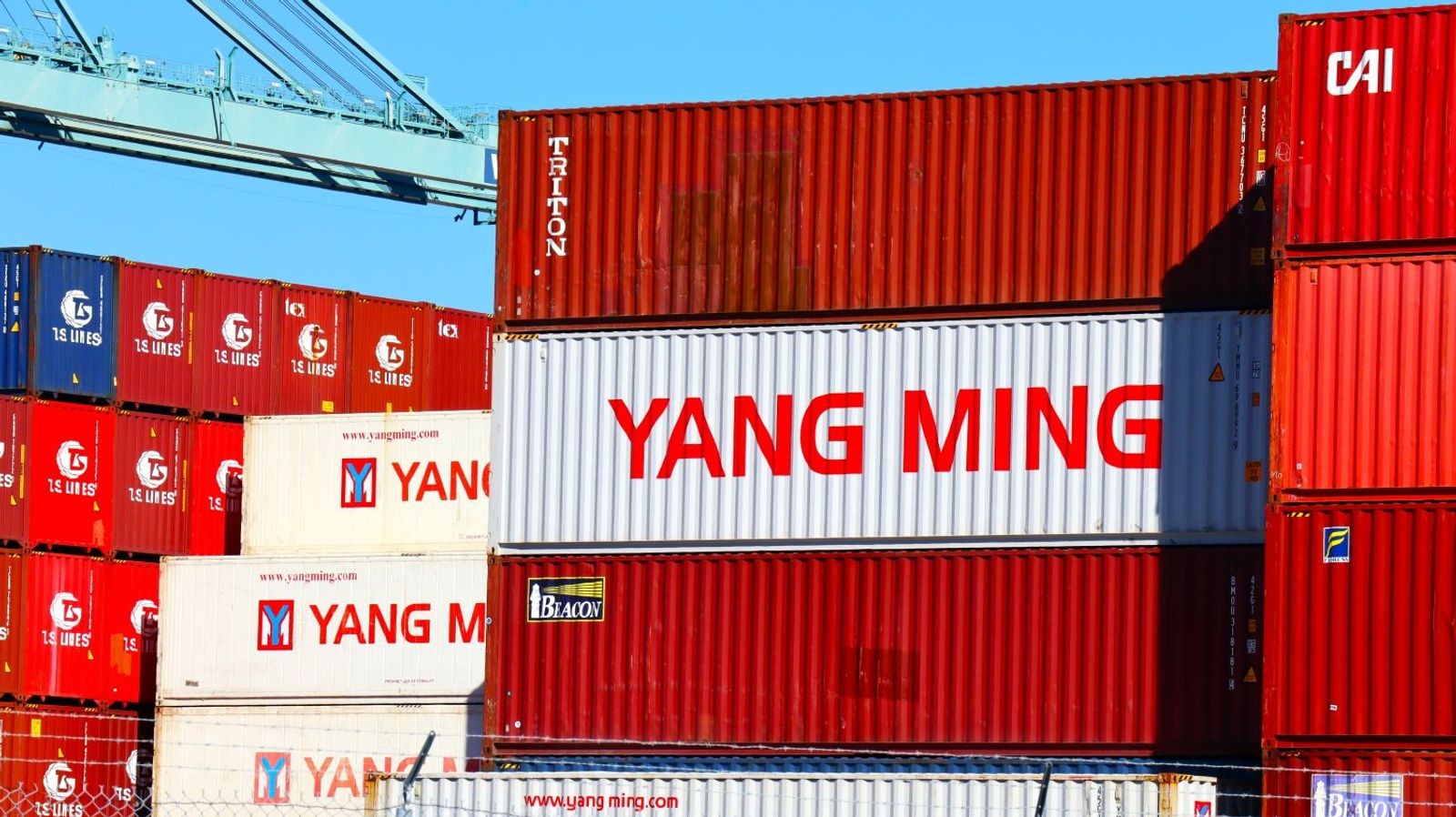 Geopolitics, tariffs to sway second-half shipping outlook: Yang Ming