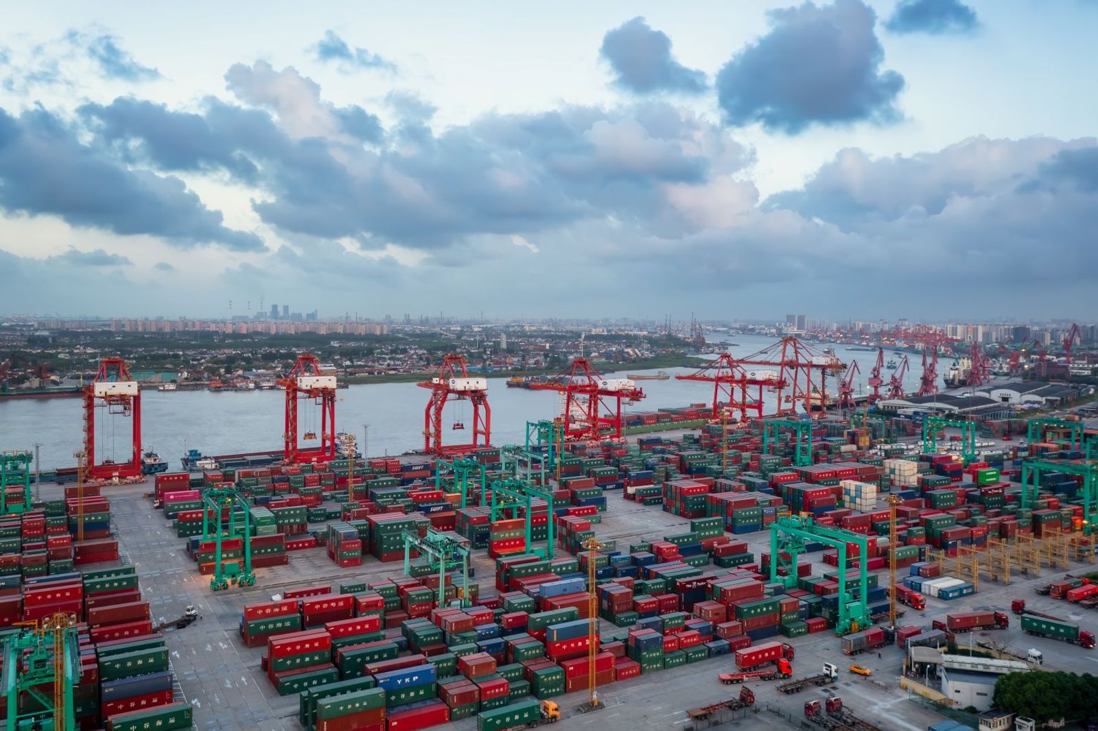 Intra-Asia rates continue upward climb on storm disruption, strong peak