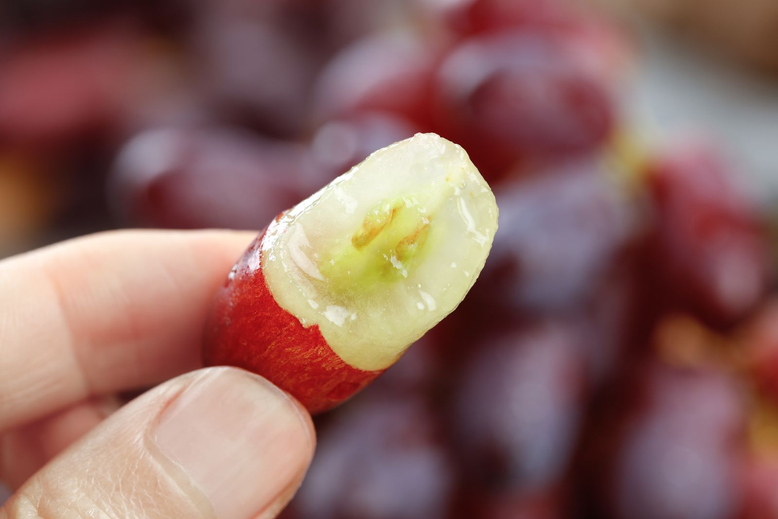 New services upend Chilean fruit delivery to US East Coast