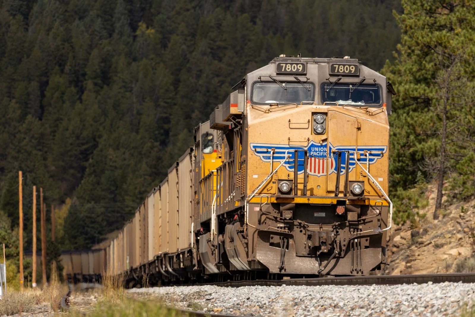 STB member not yet convinced UP-NS rail merger is good idea