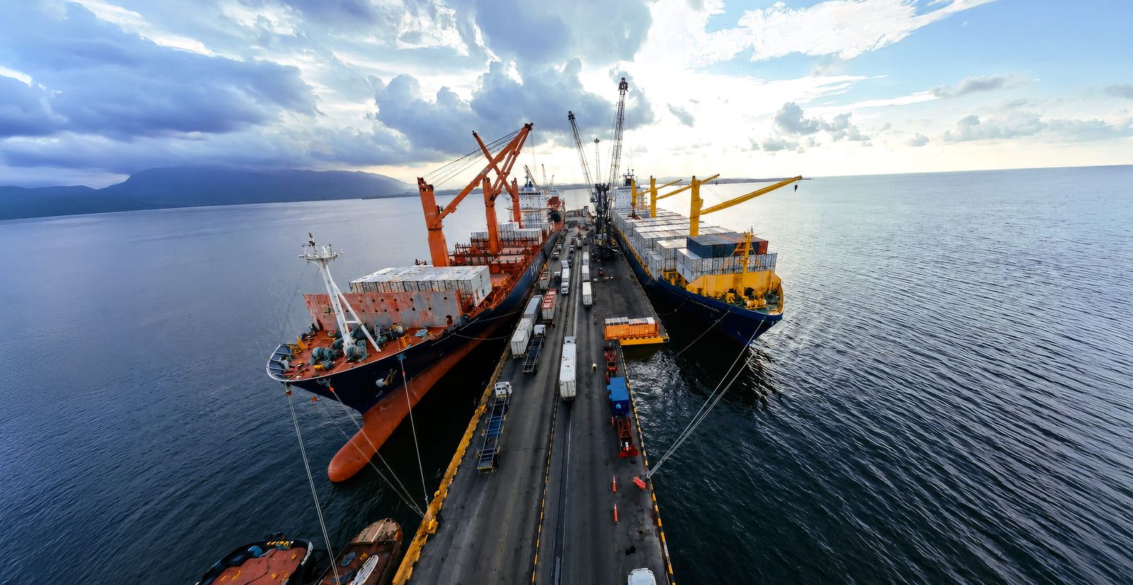 Great White launches new reefer services, expands fleet