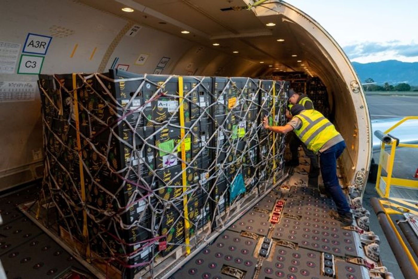 AI air cargo boom sets up strong peak season on the trans-Pacific