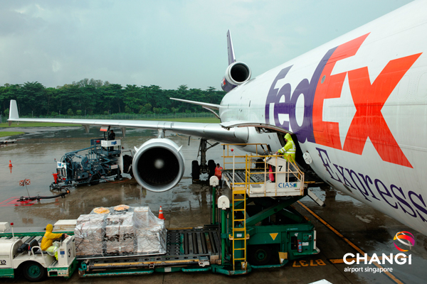 Cargo at Changi Airport