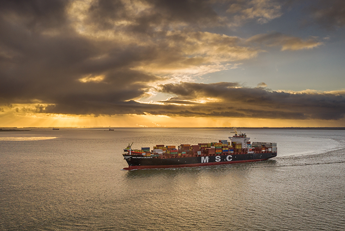 The 2M Alliance will suspend the weekly Asia–US West Coast TP 8/Orient service and the South Asia–US East Coast TP 11/Elephant loop starting April 20. Photo Credit: Arnoud Lievense / Shutterstock.com.