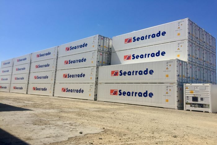 Even as consumer demand for healthy foods such as fresh fruits and vegetables continues to grow, the long-term prospects for conventional reefer ships remain unclear. Photo credit: Seatrade Group