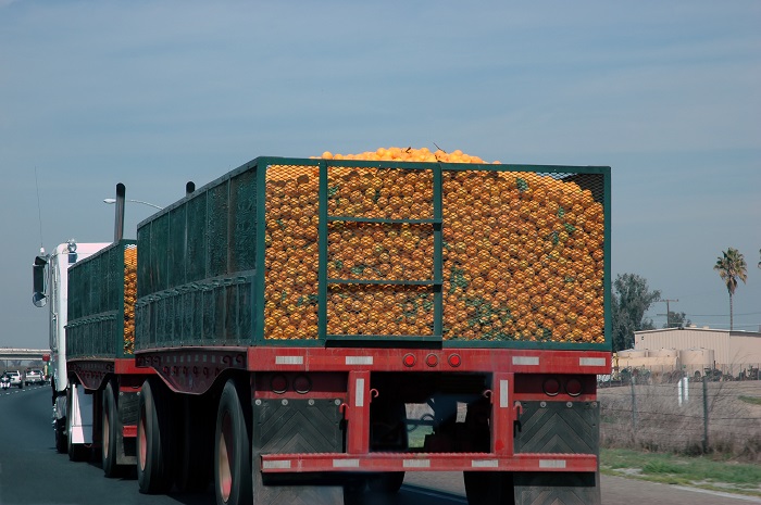 US truck prices to transport fruits and vegetables from Mexico and California are up 20 to 30 percent, mirroring the rates in other modes, too. Even so, the purchasers of transportation are opening their wallets and riding out the inflation until the macroeconomic environment changes. (Above: A truck transports oranges in California, United States.) Photo credit: Shutterstock.com. Truck transporting oranges in California, United States.