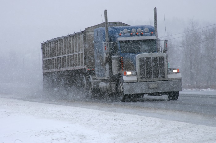 Businesses will be watching spot rates closely in the next few weeks to see if demand and capacity move back toward an equilibrium. Photo credit: Shutterstock.