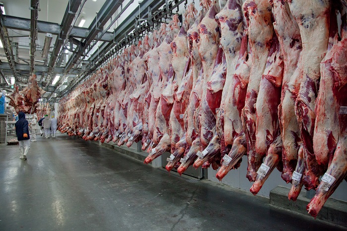 Brazil beef.