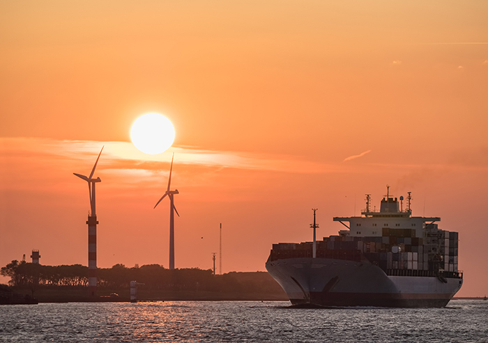 With the Lunar New Year rush over, a clearer picture of the global container shipping market's health is emerging.