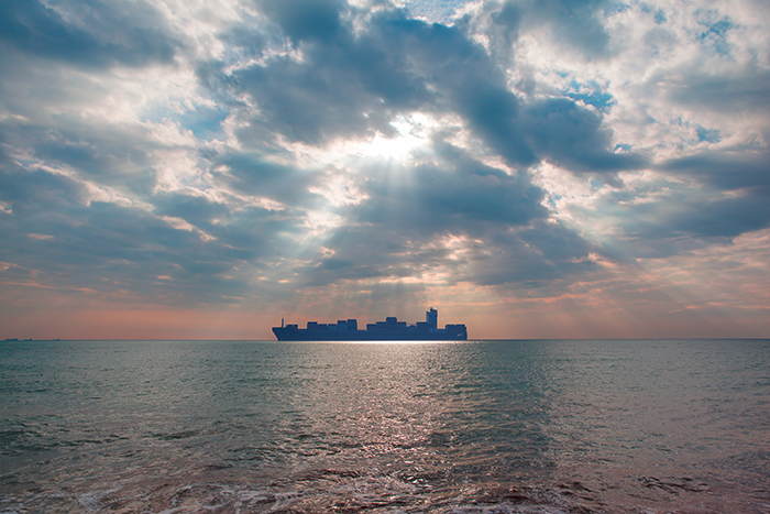 Container lines say their poor earnings through 2016 are sufficient evidence that they did not collude on rates.