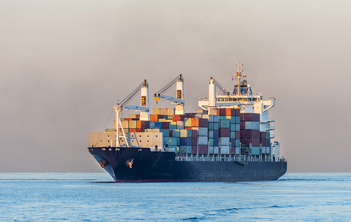 Niche carriers continue to stand out in a rapidly consolidating industry.