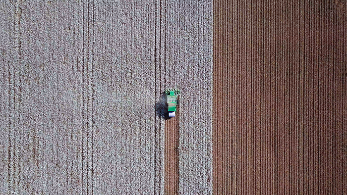 Cotton is the No. 2 containerized US export threatened by China's $34 billion in tariffs. Photo credit: Shutterstock.com