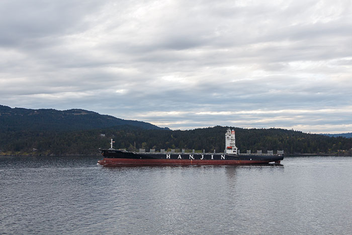 The collapse of Hanjin Shipping forced Danaos to recharter some vessels previously chartered to Hanjin at lower rates.