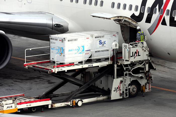 Japanese air cargo volumes are forecast to rise for the second year in a row.
