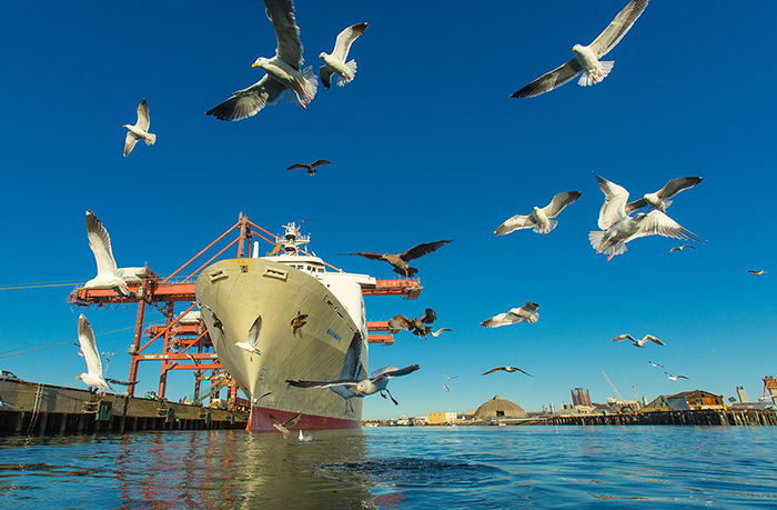 Ships at berth at the Port of Long Beach, such as the one pictured, are able to plug into shore-supplied power as part of the port's pollution reduction efforts.