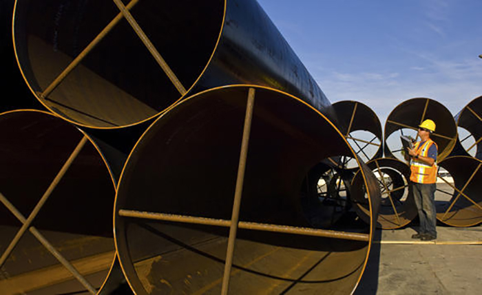 Breakbulk operations at Pasha Group terminal. Photo credit: Pasha Group