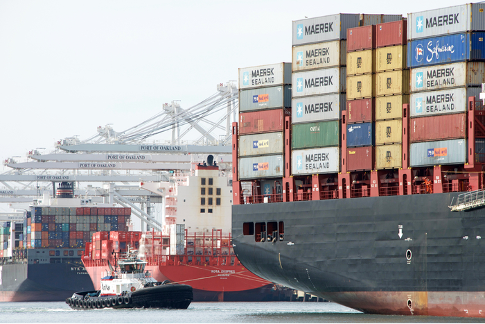 Agriculture exporters say they face operational impacts, costs and administrative costs associated with a lack of communication on changes to container earliest return dates. Photo credit: Shutterstock.com.