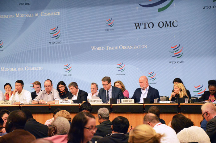 World Trade Organization Trade Negotiations Committee