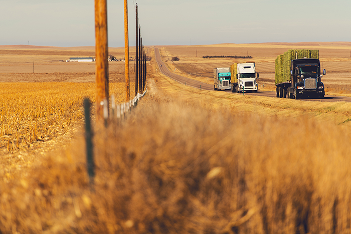 One possible impact of the ELD mandate is that older drivers retire rather than learn the new technology, adding to the driver shortage. Photo credit: Shutterstock
