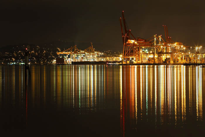 The Port of Vancouver is leading an effort in opposition to government plans to privatize Canada's ports.
