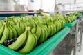 Under a new USDA rule, shippers can retrieve temperature data remotely for pre-clearance of certain perishables. Photo credit: Shutterstock.com.