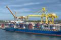 The head of Australia’s competition watchdog says class exemptions for container shipping companies from competition laws are becoming “harder to justify.” Photo credit: Shutterstock.com.