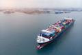 Container lines blanked 253 sailings in the east-west lanes in 2019 compared with just 145 skipped voyages in 2018. Photo credit: Shutterstock.com.