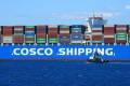 Ocean carriers are looking at one of their best years ever in terms of profitability. Photo credit: Shutterstock.com.