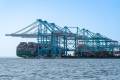Hapag-Lloyd and Maersk are extending restrictions on their New Tango service to the Port of Norfolk (above) into October. Photo credit: Kyle J Little/Shutterstock.com.