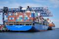 Congestion at Patrick Terminals’ Port Botany facility in Sydney is costing truckers an estimated A$1 million ($700,000) a month in lost productivity, according to Neil Chambers, director of the Container Transport Alliance Australia. Photo credit: YULIYAPHOTO/Shutterstock.com.