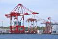 Cargo is piling up at the Port of Halifax as a result of rail blockades and Atlantic Container Line (ACL) has decided that two vessels will not stop there. Photo credit: Shutterstock.com. Rail blockade forces Halifax ship diversions